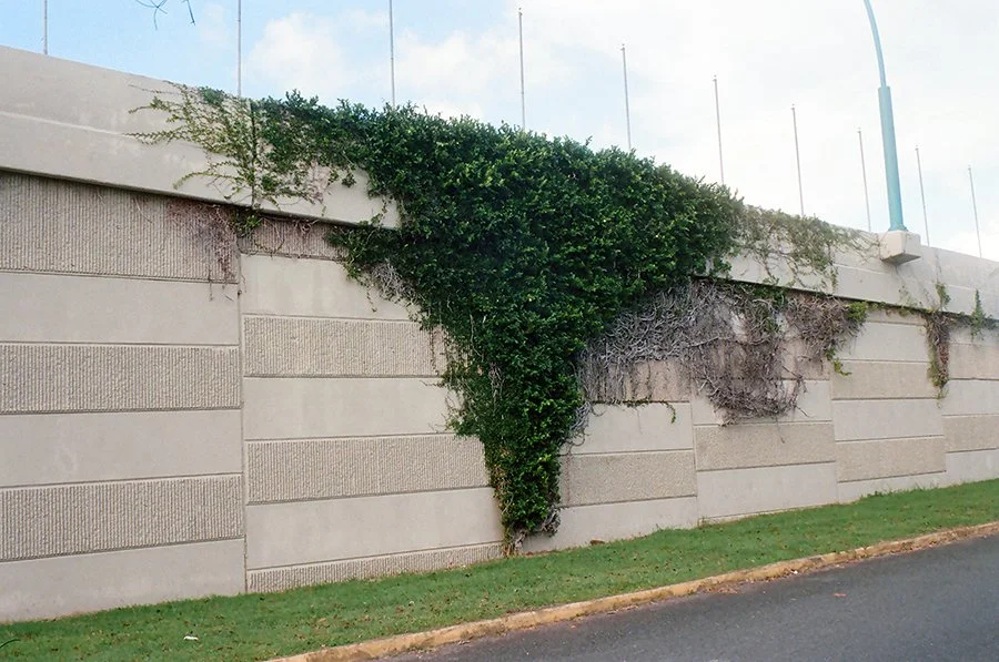 bikibibushpr25web.jpg