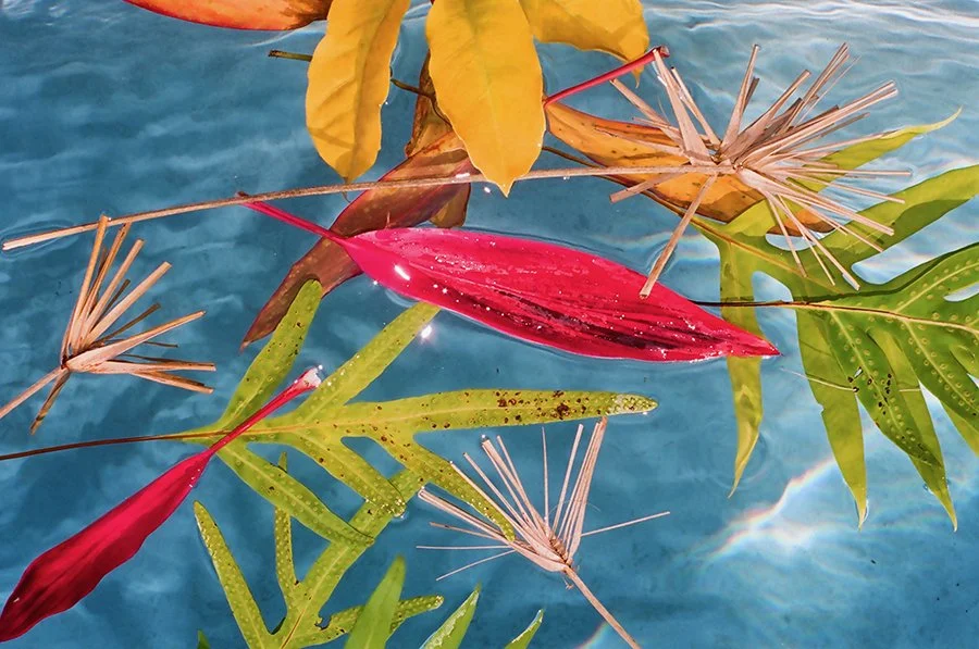 floralpoolweb24.jpg