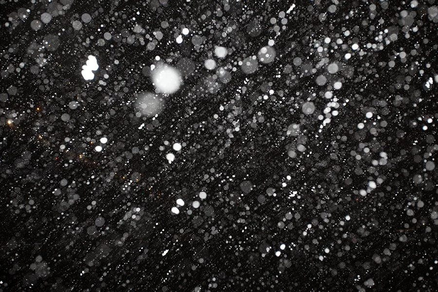 snowdigiweb.jpg