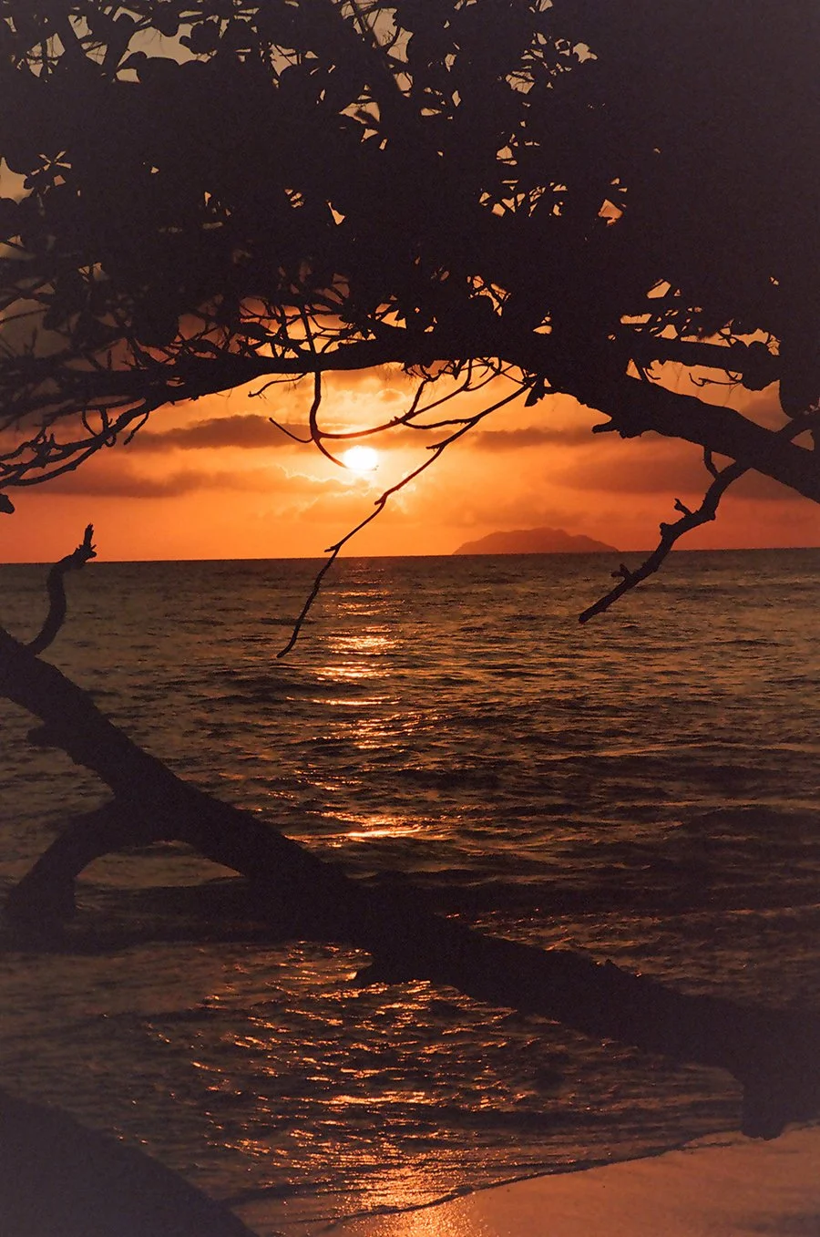 desecheosunsetweb.jpg