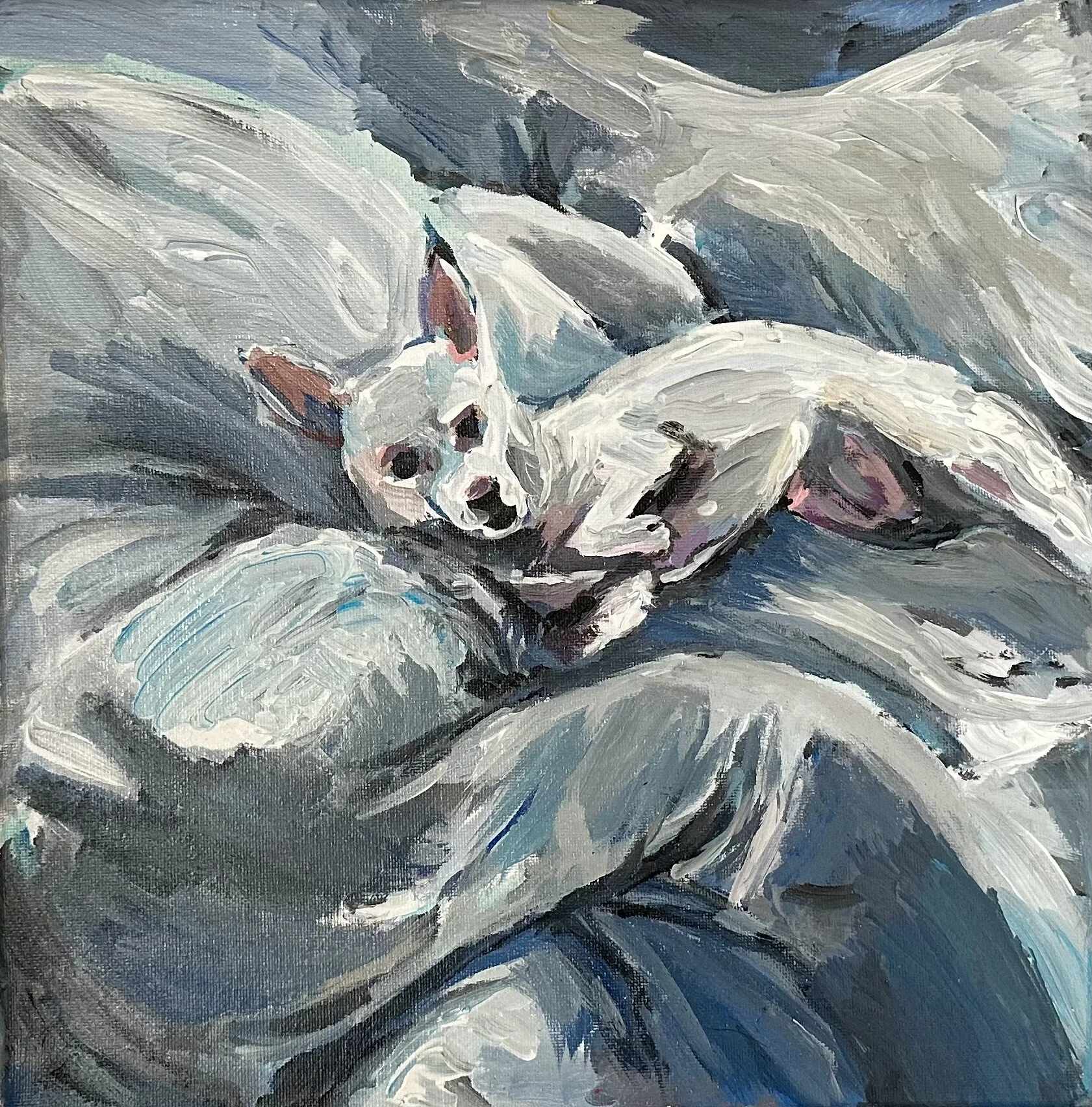 93859E93-1A0D-4DFA-B530-3E50A12C5BB7