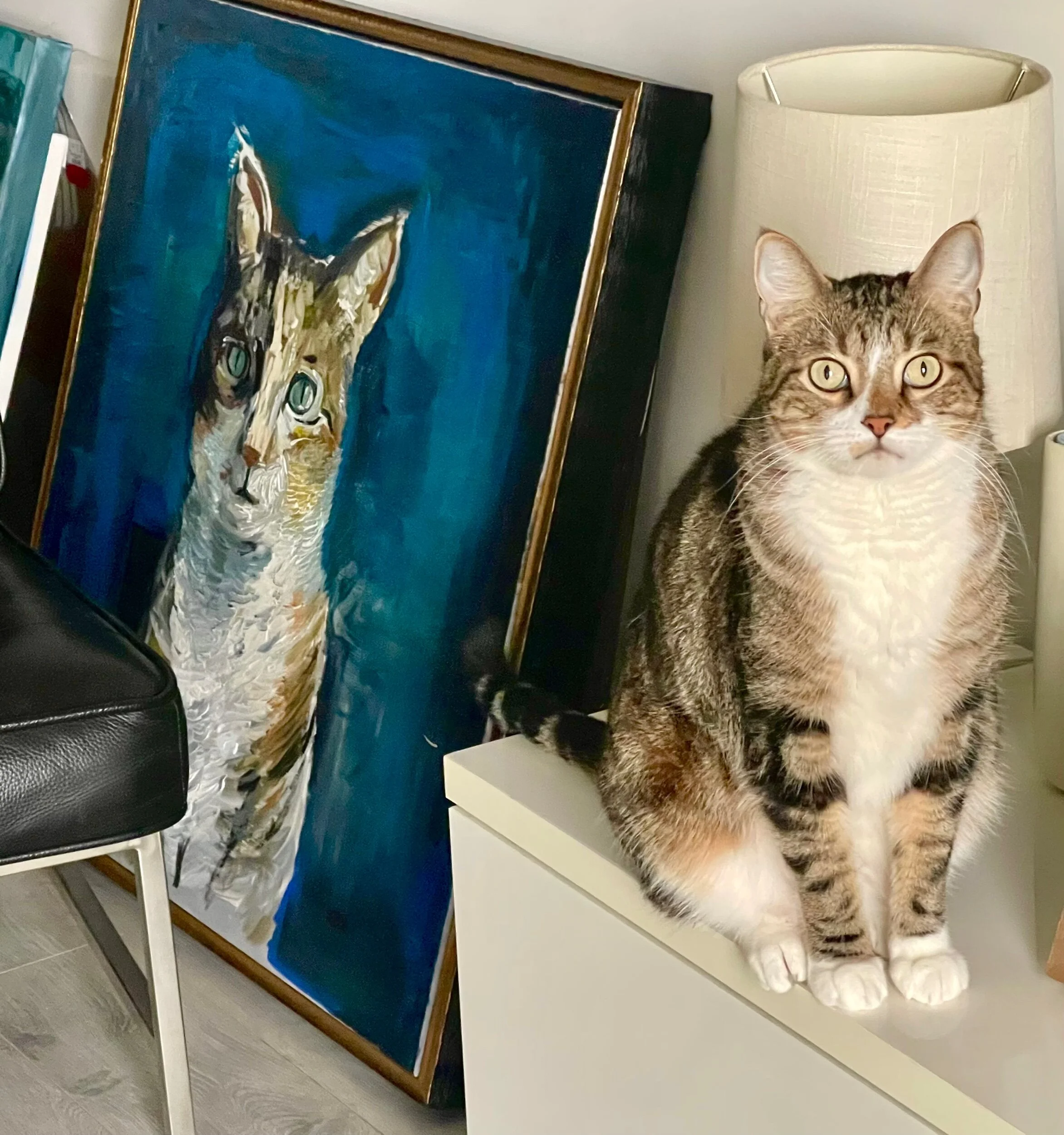 5FDD7B48-EFC6-4D41-BC1E-A745B652FC94