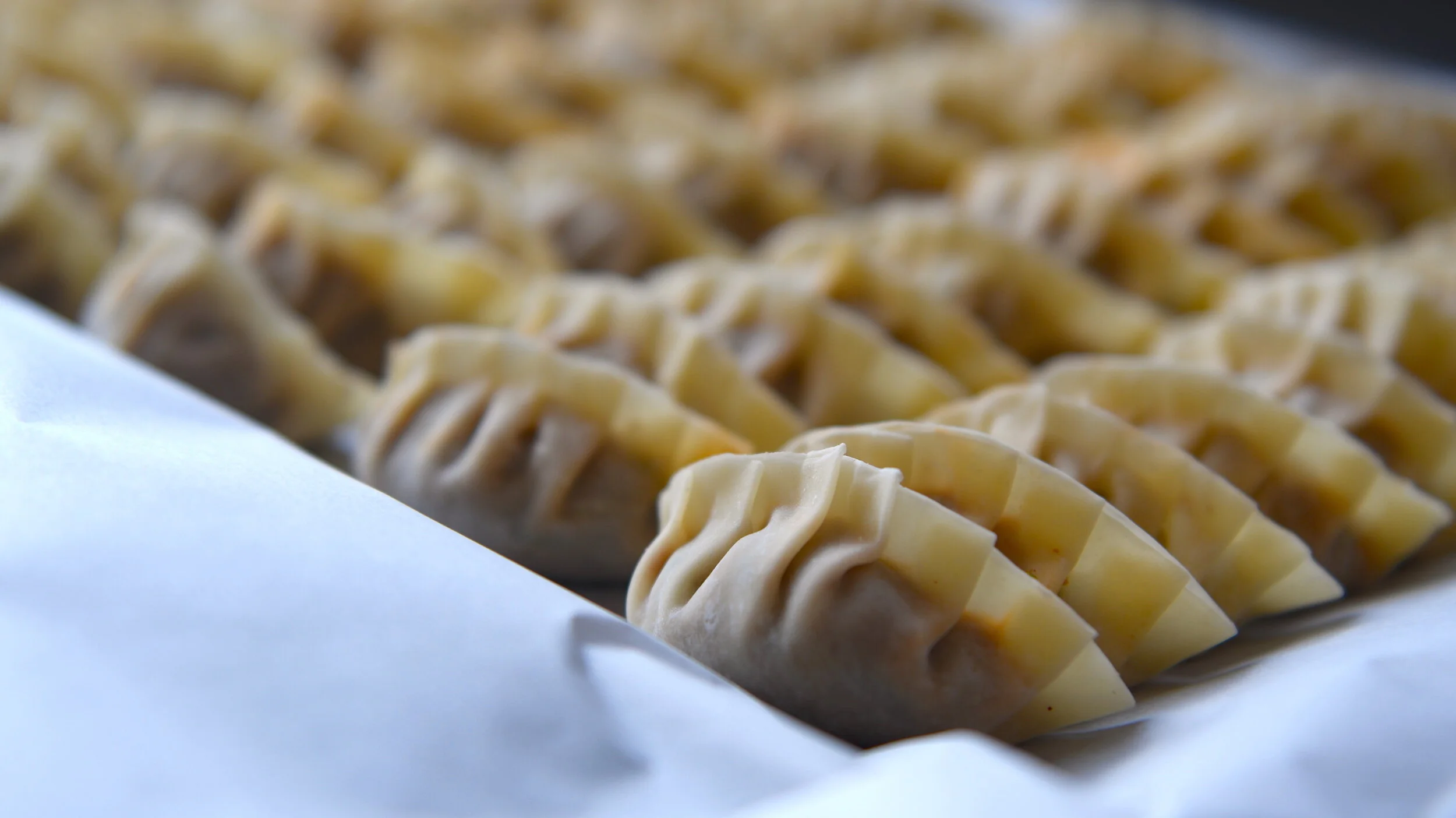 Shrimp &amp; Chicken Dumplings