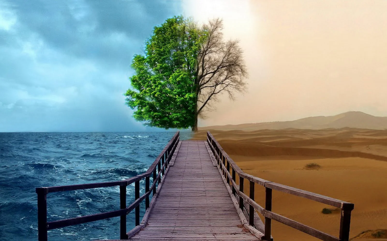 arbol.jpg