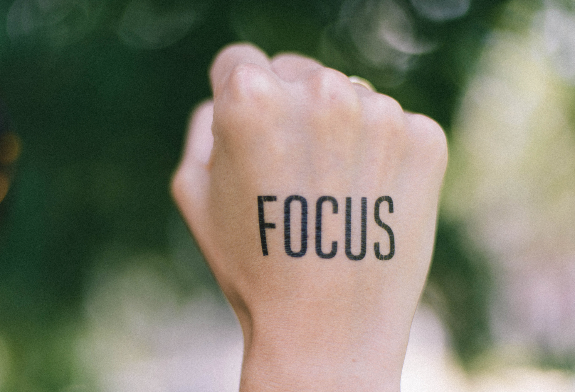 Focus.png