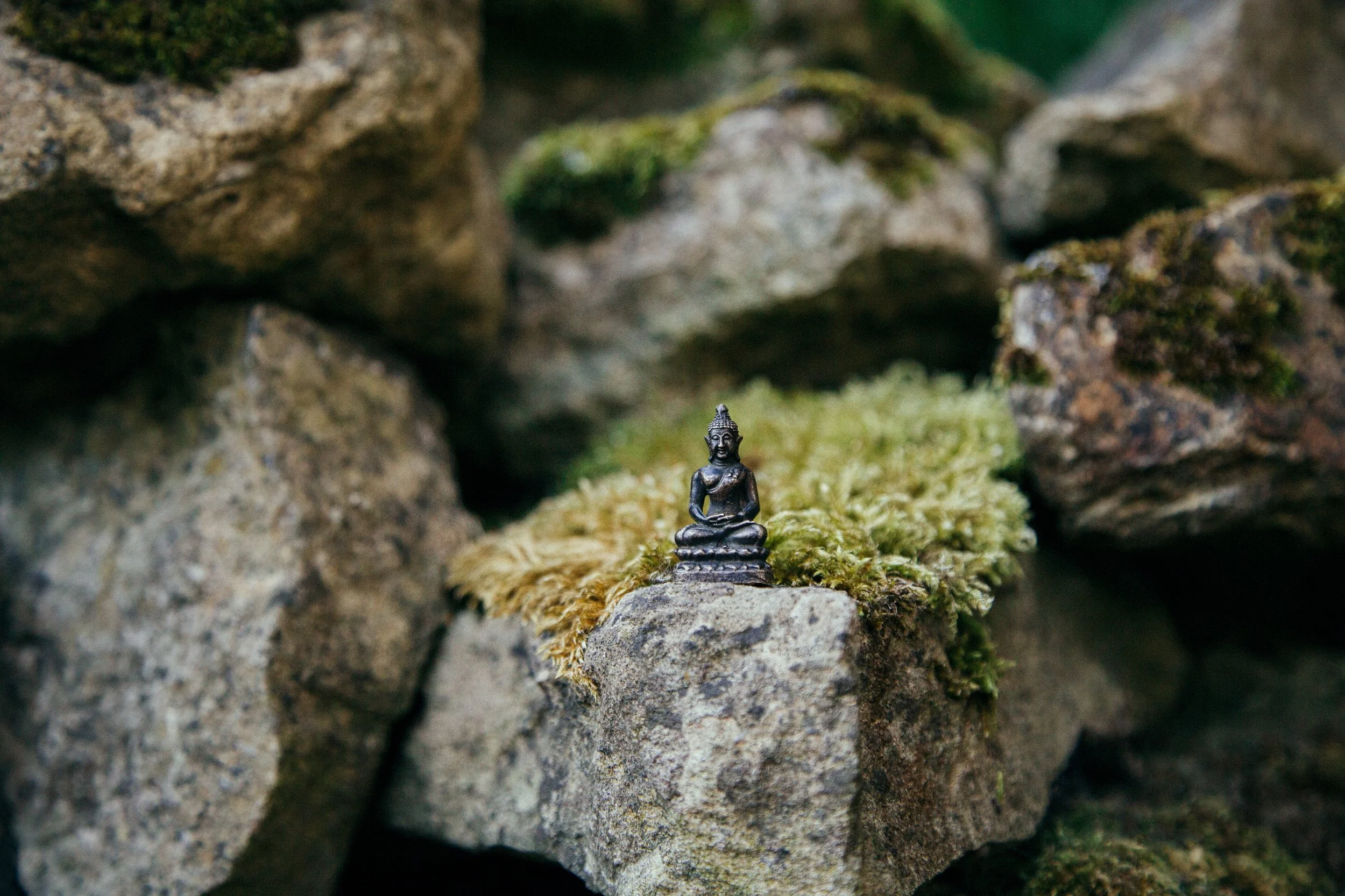 Buddha.jpg