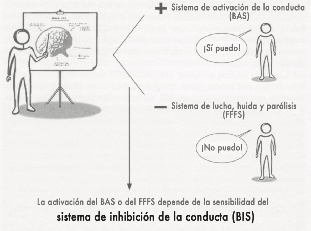 Figura: Interacción entre el BAS, el FFFS y el BIS. La activación del BAS o del FFFS depende de la sensibilidad del BIS. Fuente: One Steap Ahead. Notebeart Consulting (dibujo de Lars Richter).