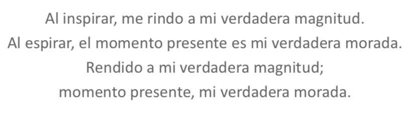 11. Meditación Pilar Aguilera Océano.png
