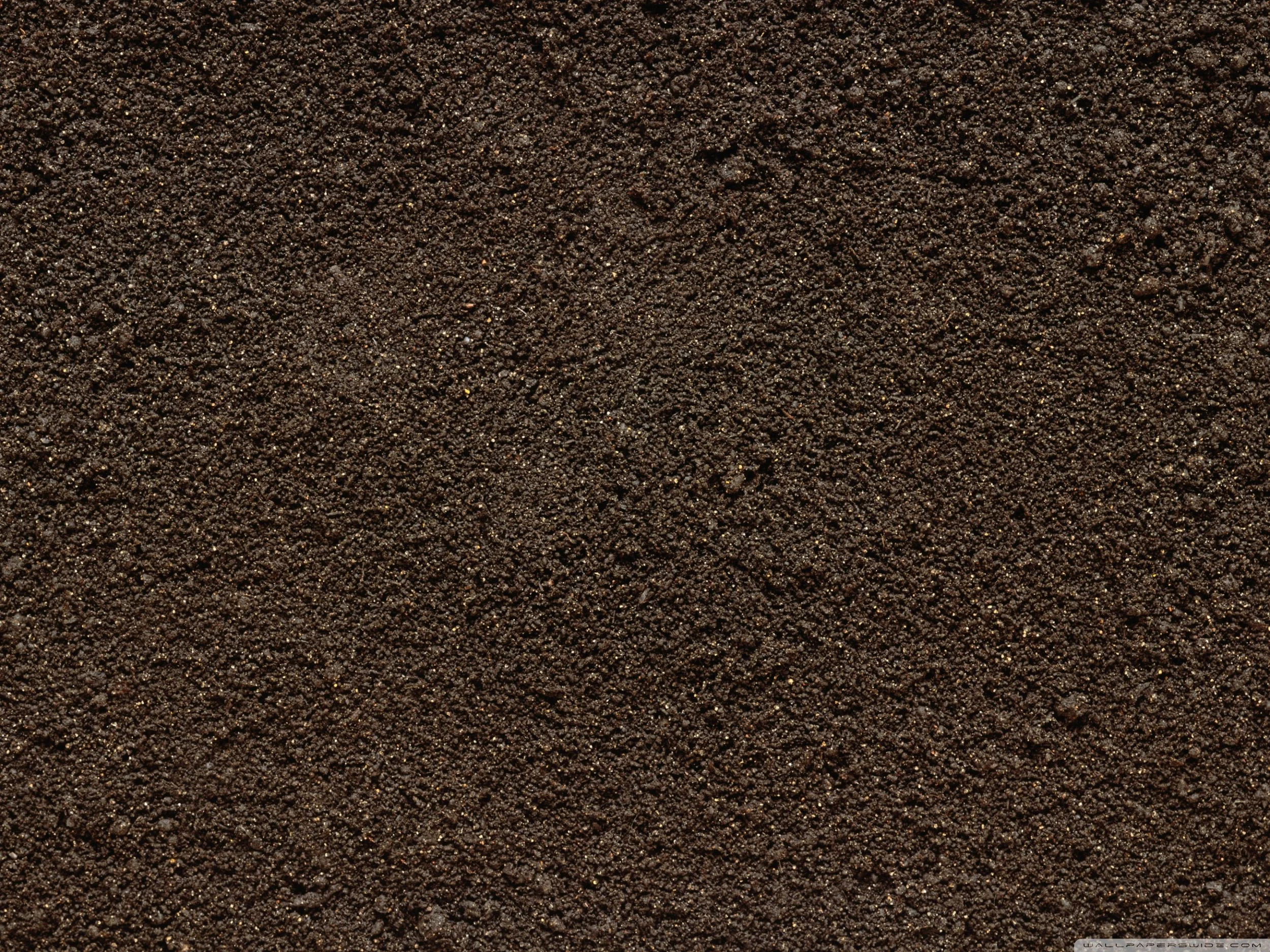 soil-wallpaper-2560x1920.jpg