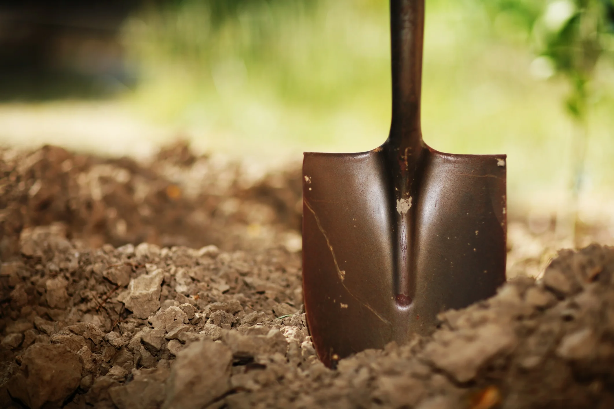 Shovel-in-soil_lt.jpg