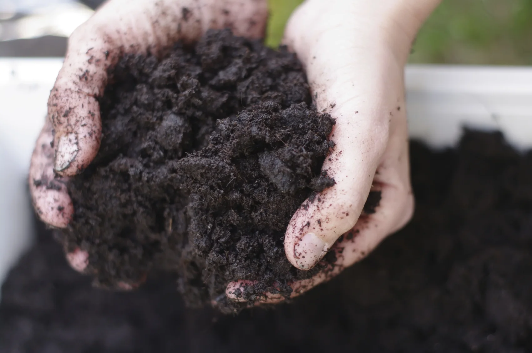 healthy-soil.jpg