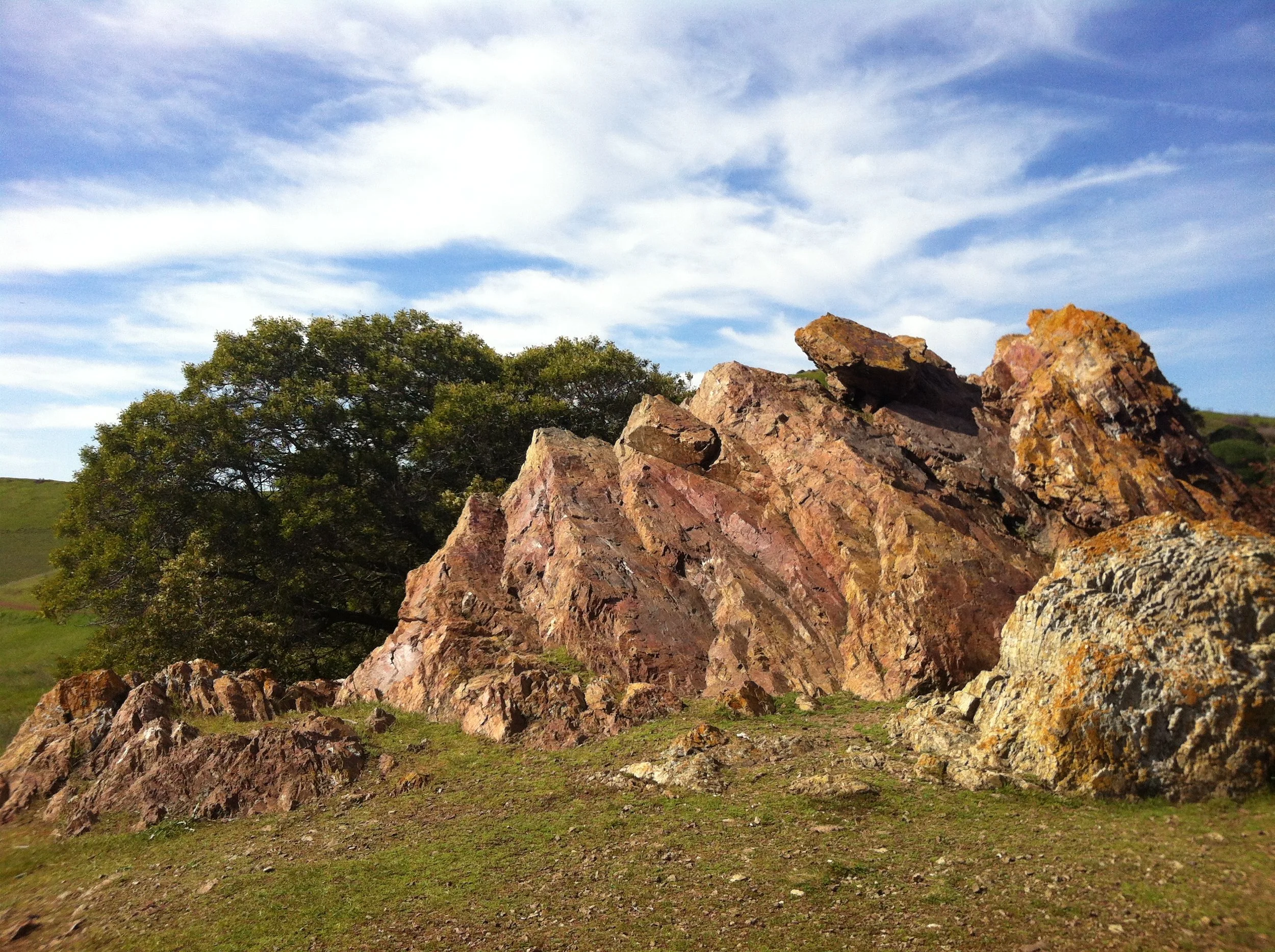 East Bay Wildlife Refuge 4.JPG