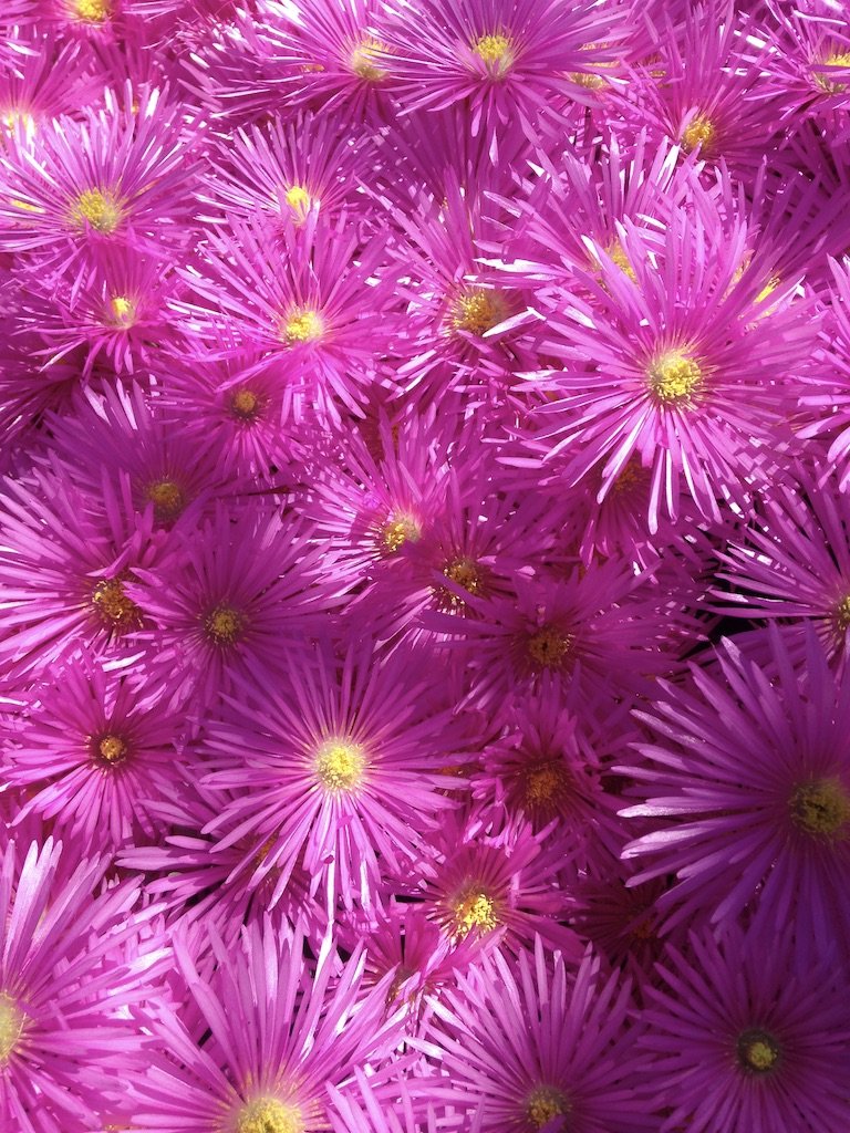 6AB7108C-AE84-44BE-8212-6FB10B29D7AA_1_105_c.jpeg