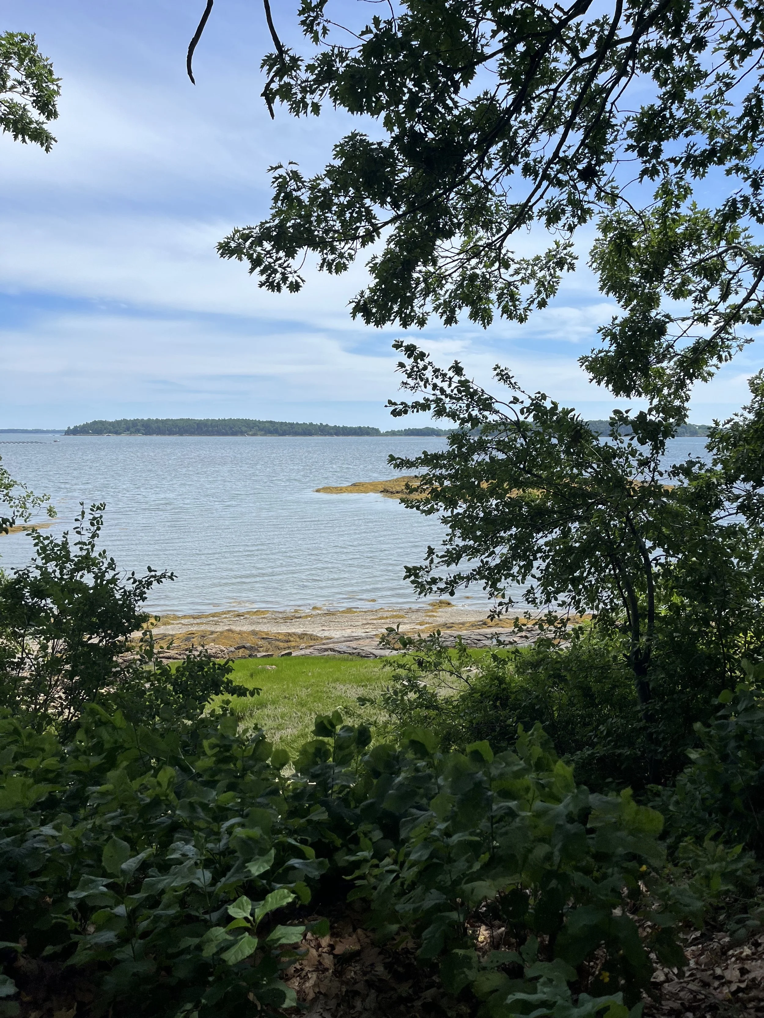 IMG_8396.jpeg