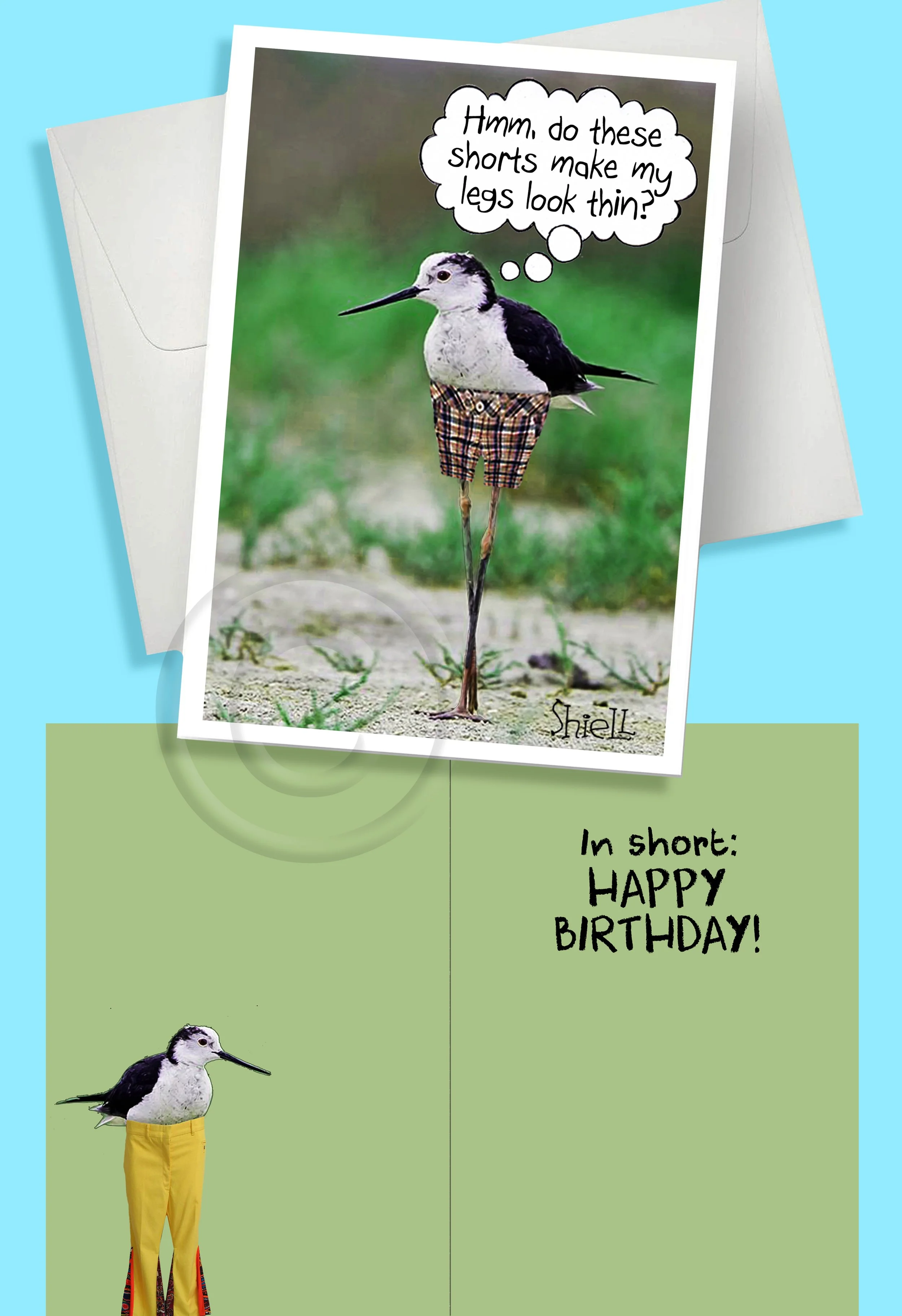 BIRD_SHORTS_03.jpg