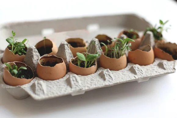 Gardening Class