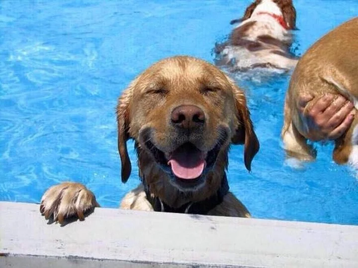 Pool Party!