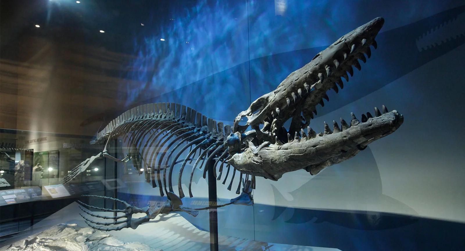 Perot Museum of Nature and Science