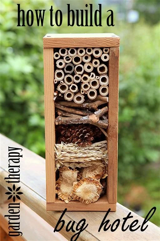 Build a Bug Hotel