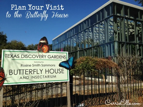 Texas Discovery Gardens