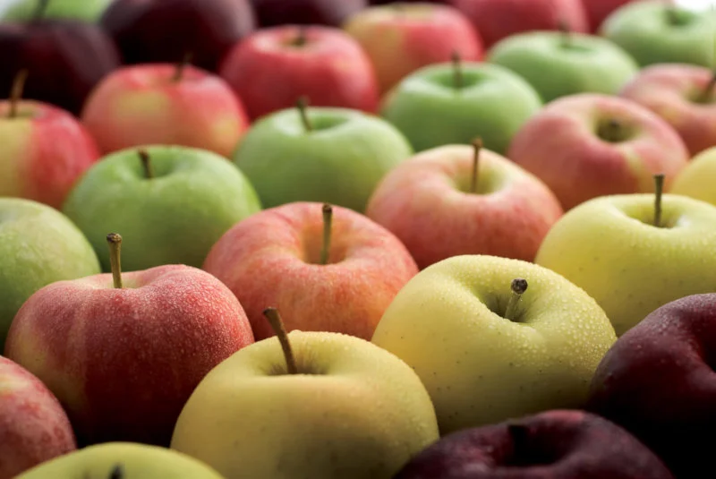 Apples: Fun, Facts, Games