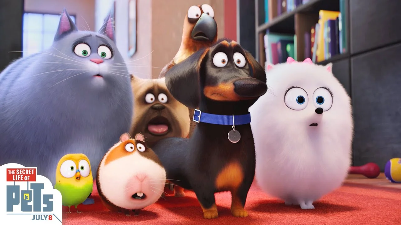 Taco Tuesday and Secret Life of Pets 