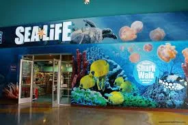 Sea Life Aquarium -Grapevine and Birthday Party!