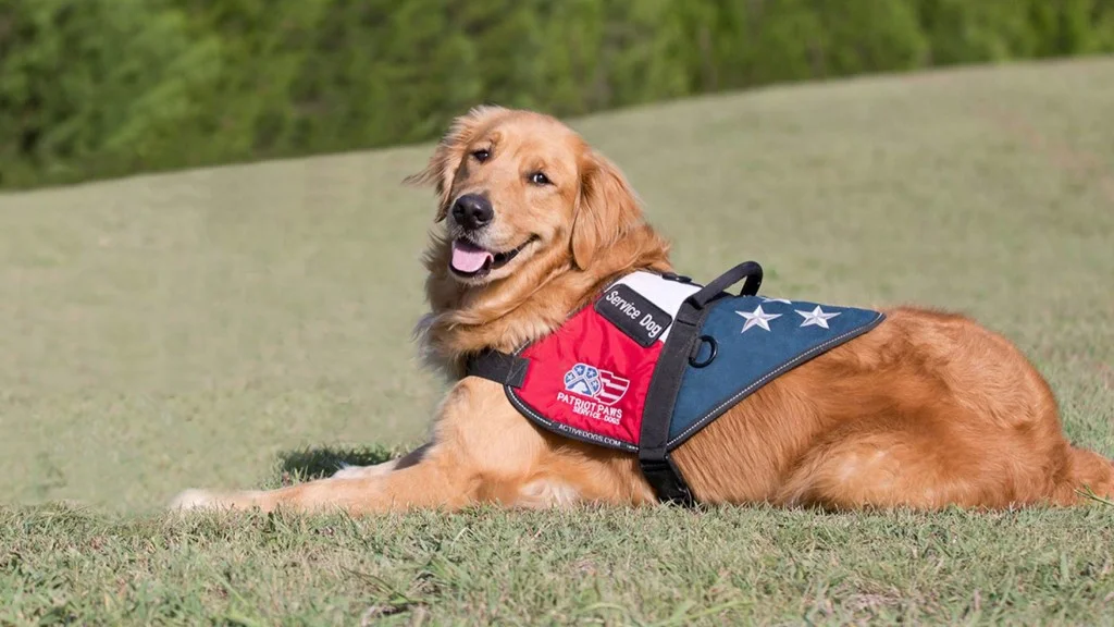 Patriot Paws Service Dogs