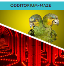Ripley's Believe It or Not Odditorium and Maze 