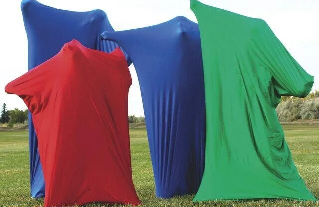Autism Society of Texas Awards AAA $500 Sensory Room Grant