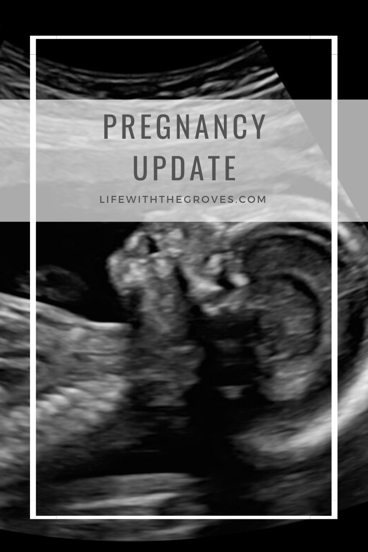 Pregnancy Update
