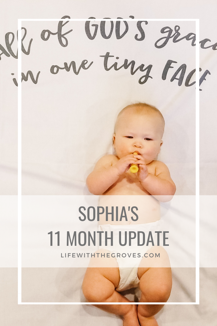 Sophia's 11 Month Update