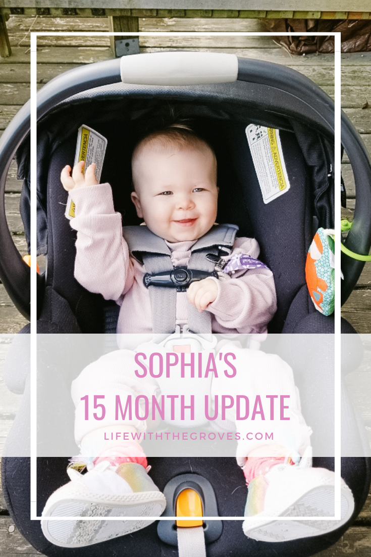 Sophia's 15 Month Update