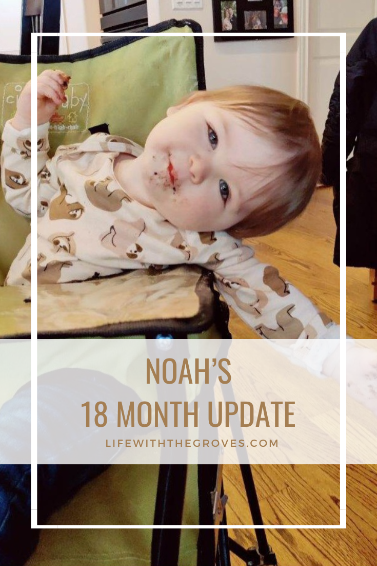 Noah's 18 Month Update