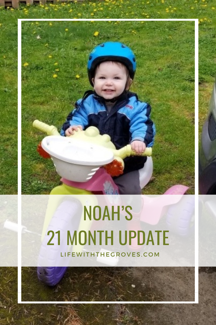 Noah's 21 Month Update