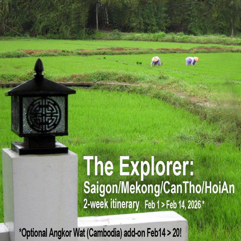 explorer plus.jpg