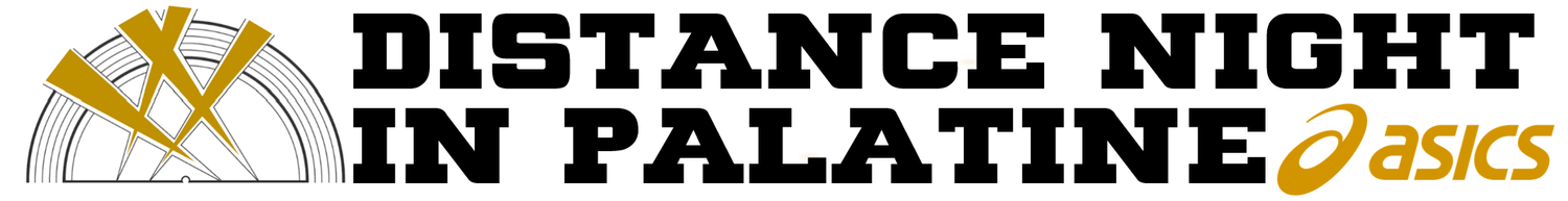 Distance Night in Palatine