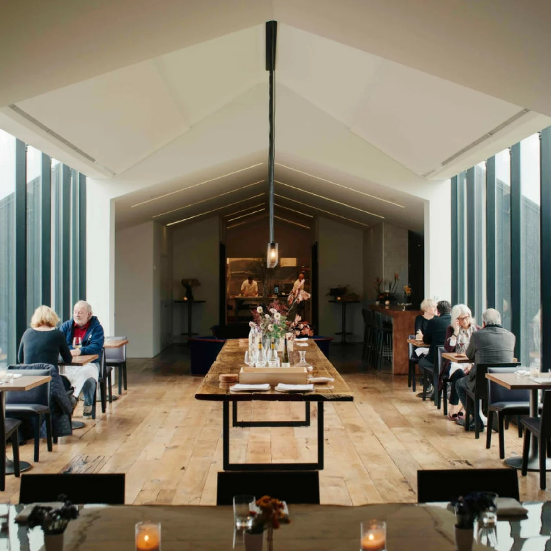 Untitled design (14).jpg