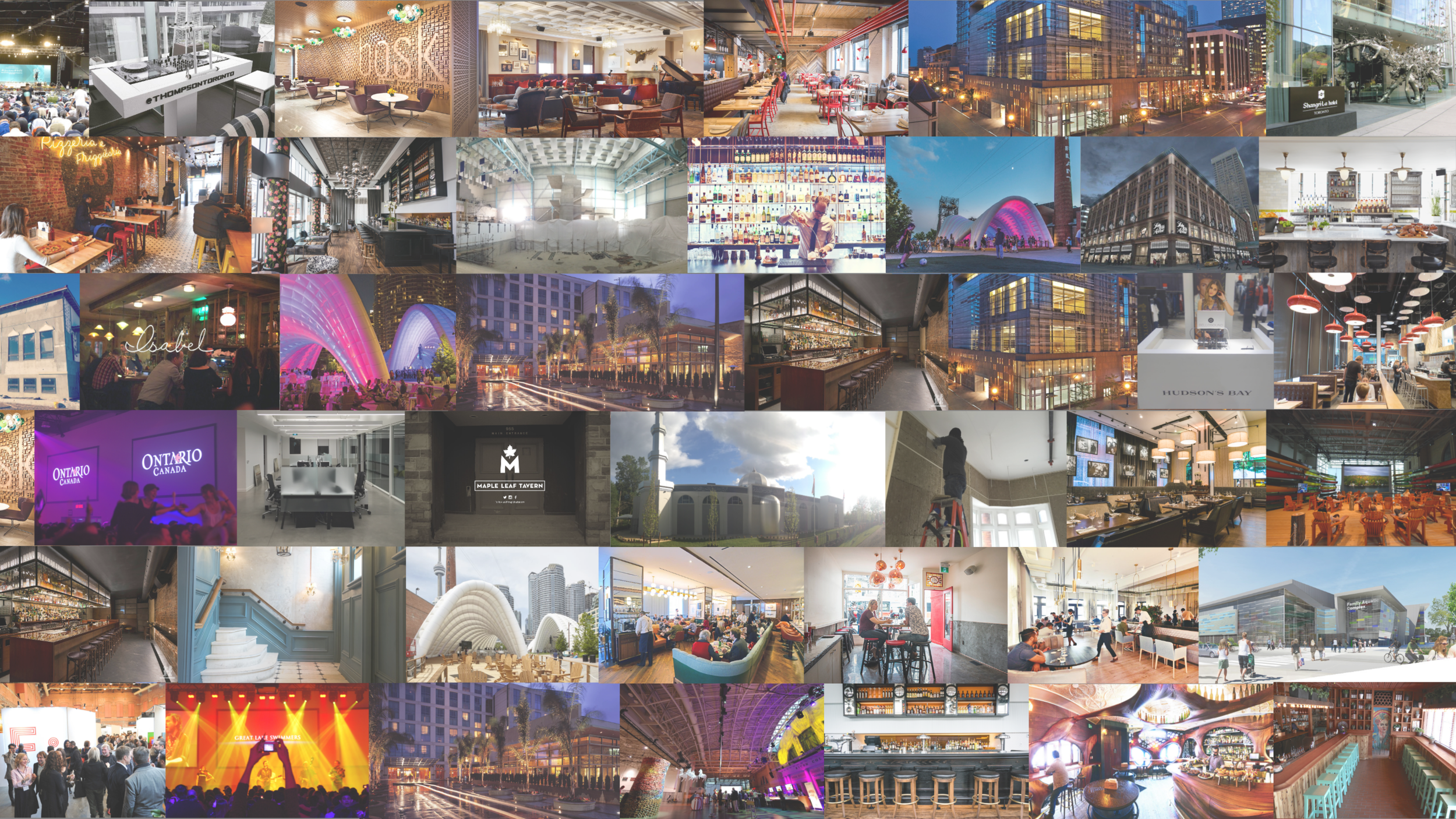 Copy of PLAV_Home.png