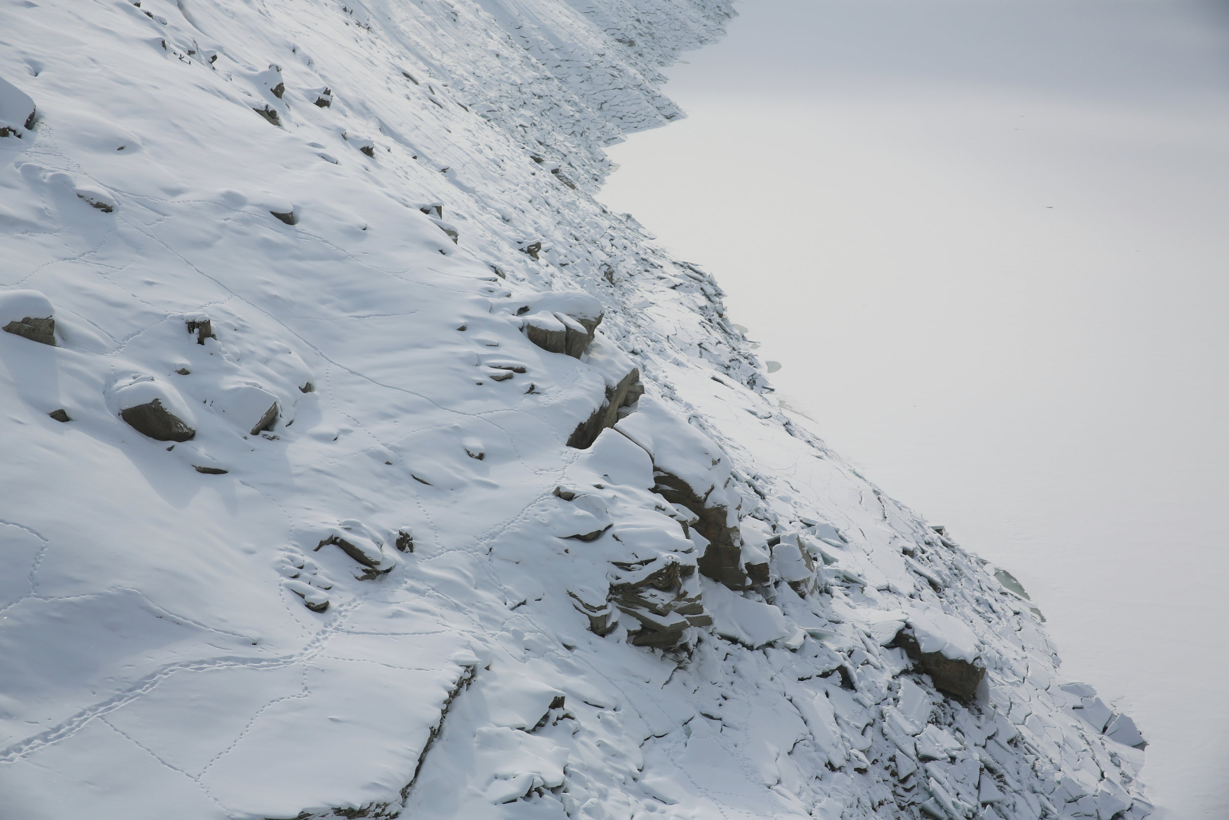 vals_7244-1.jpg