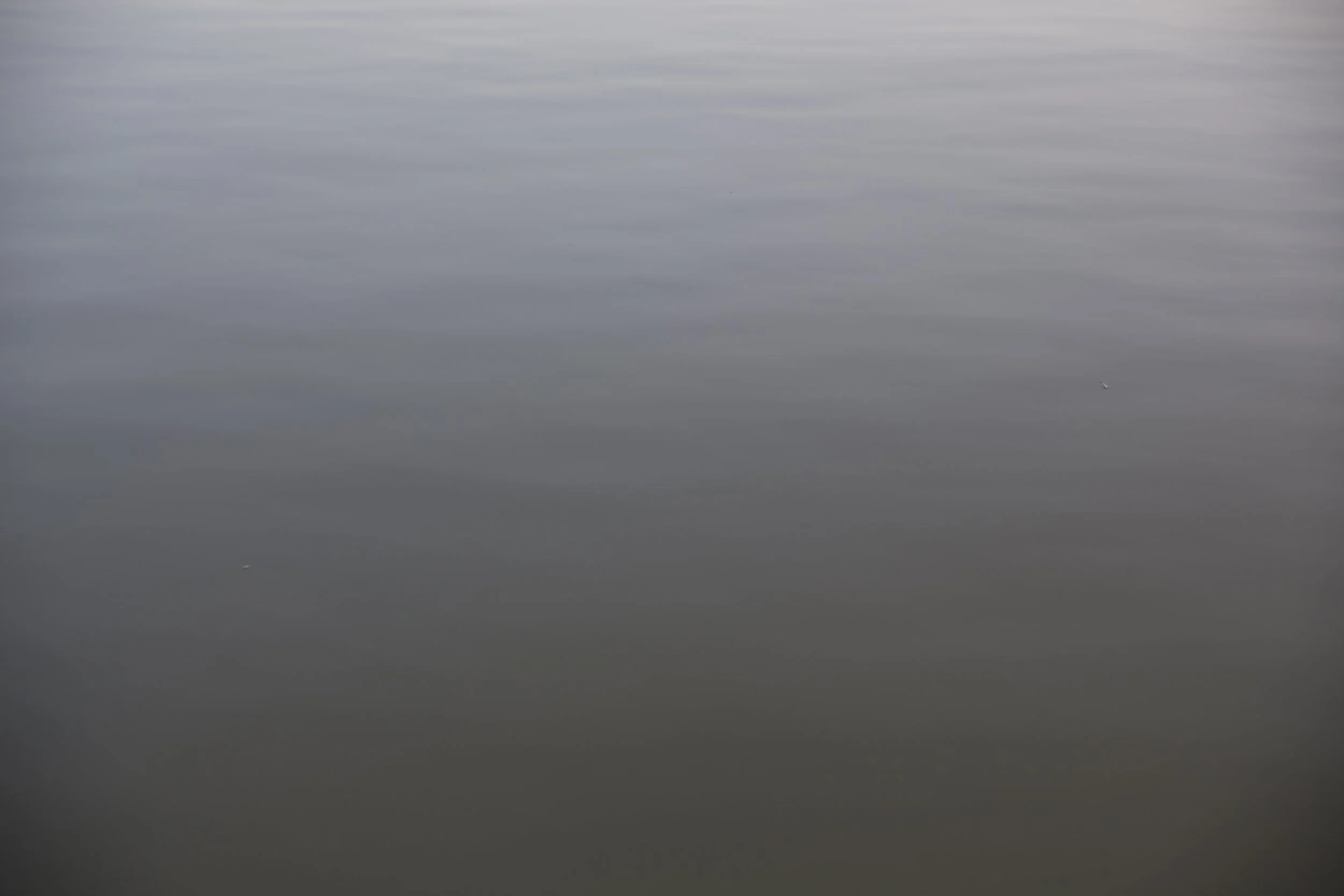 1H9A0707_1.jpg