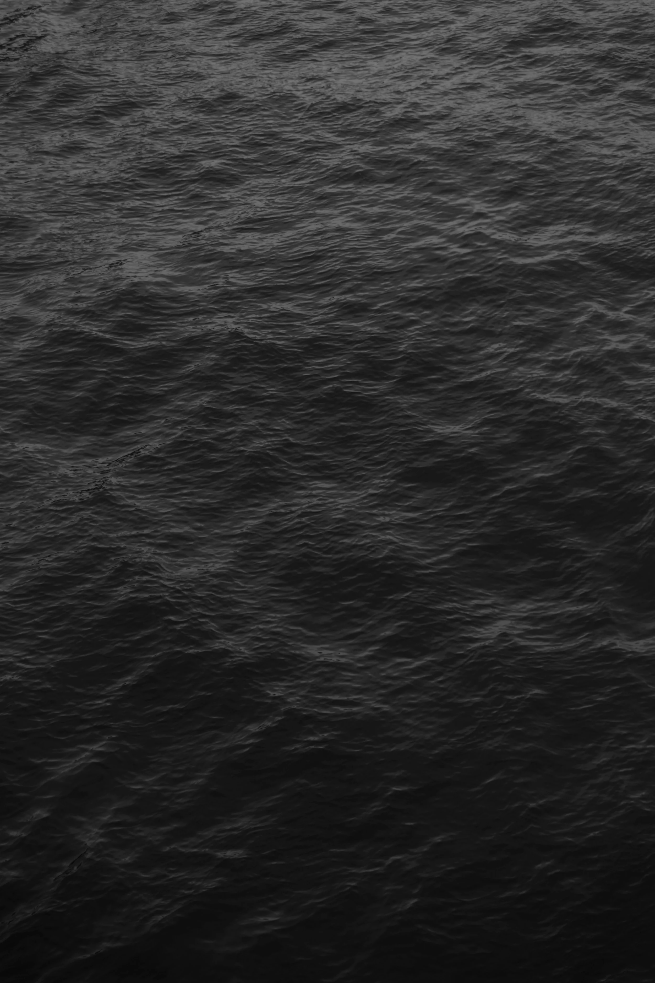 1H9A9160.jpg