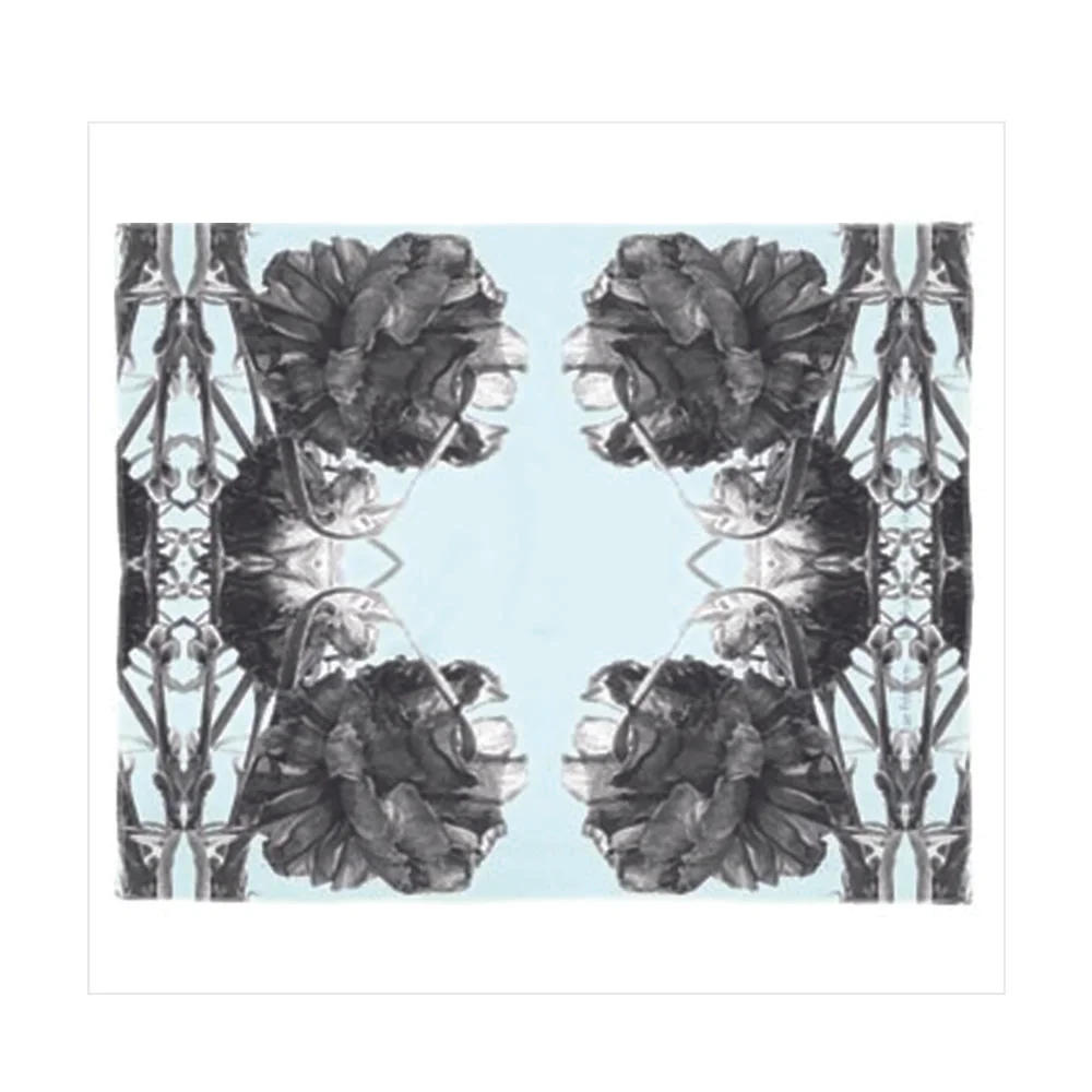 BP_Framed_Robin'sToile_Scarf2.jpg