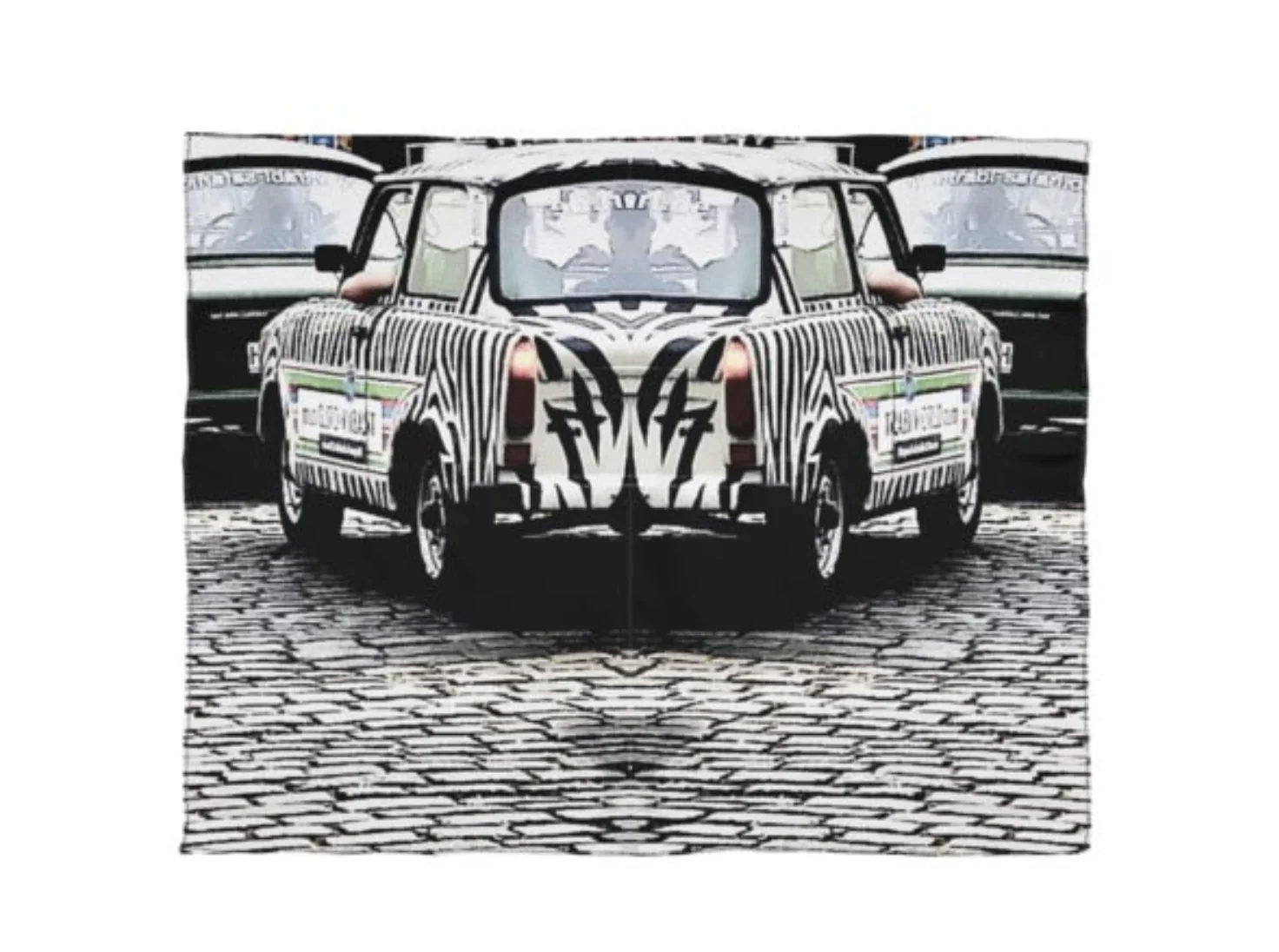 Zebra Car Scarf.jpg