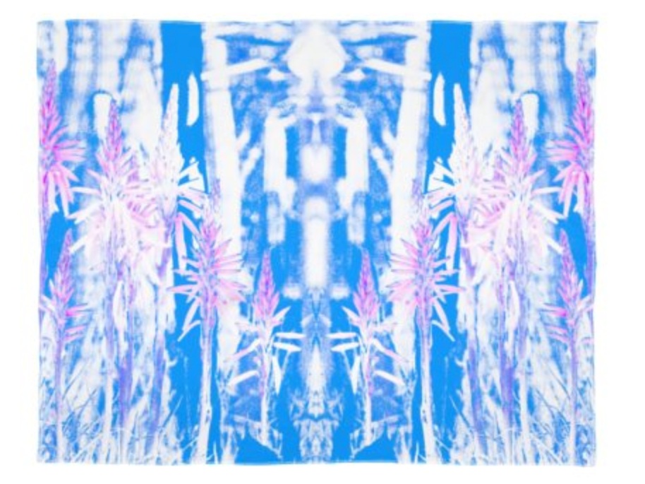 Screen+Shot+2019-04-28+at+2.29.43+PM.jpg