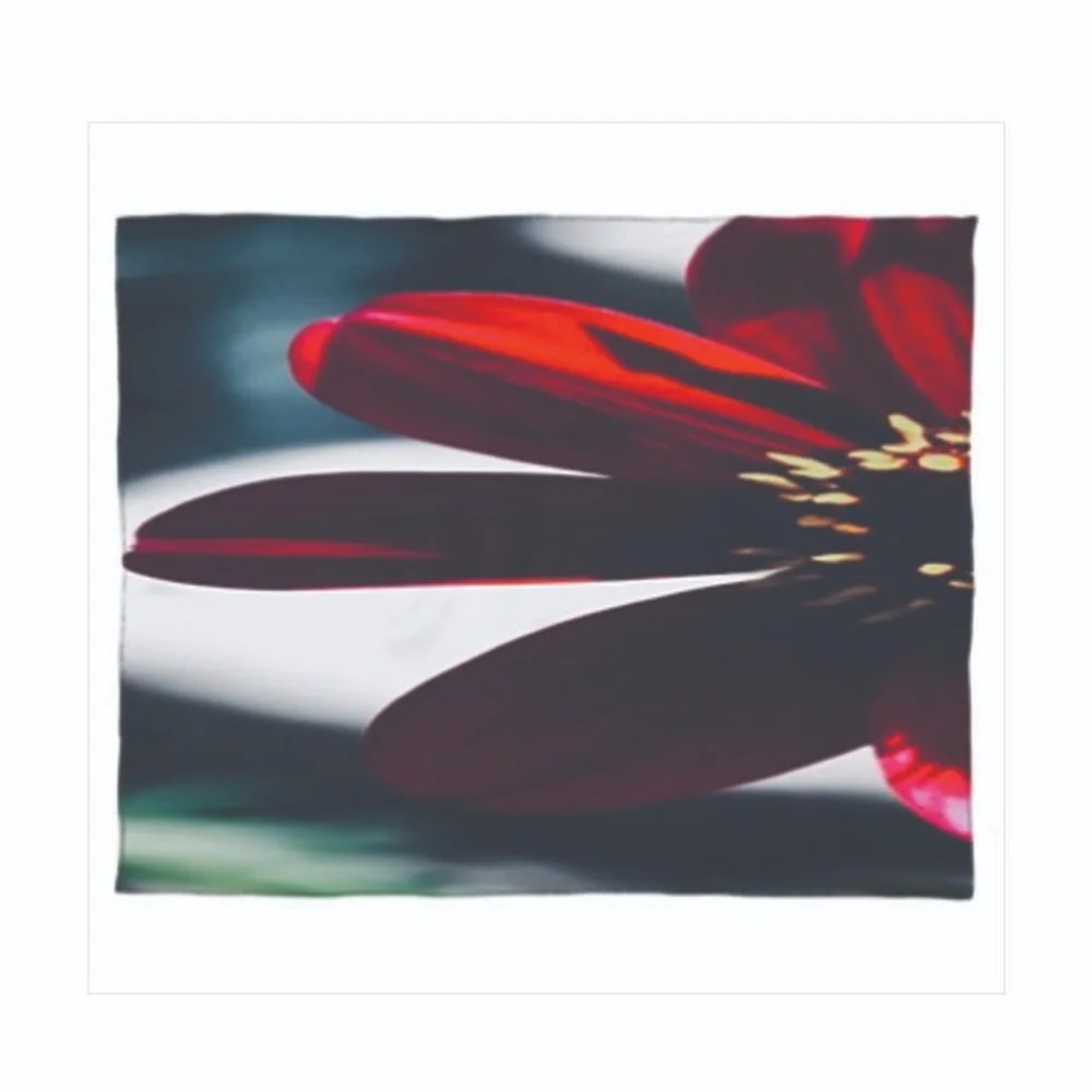 BP_Product_Framed_RedBeautyC_Scarf_Square.jpg