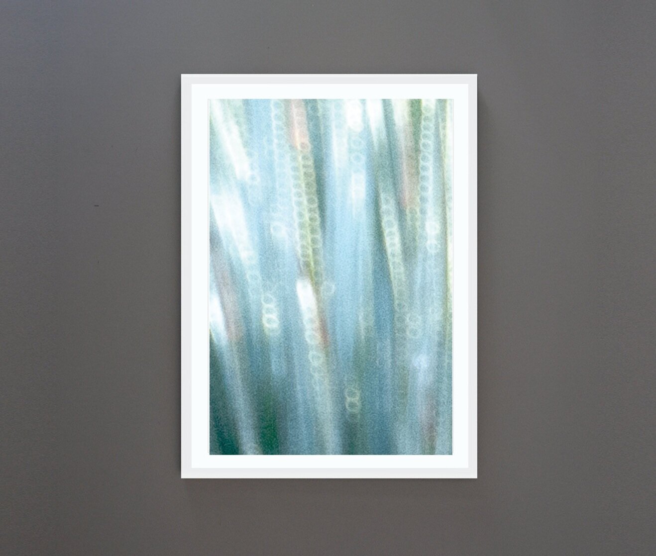 DreamGrass_Natural.jpg