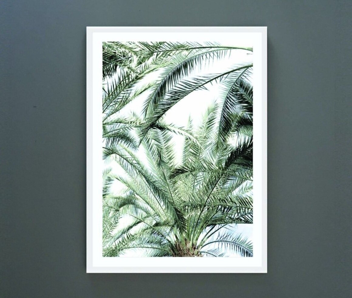Palm%2BCrown%2B-%2Bwhite%2Bframe.jpg