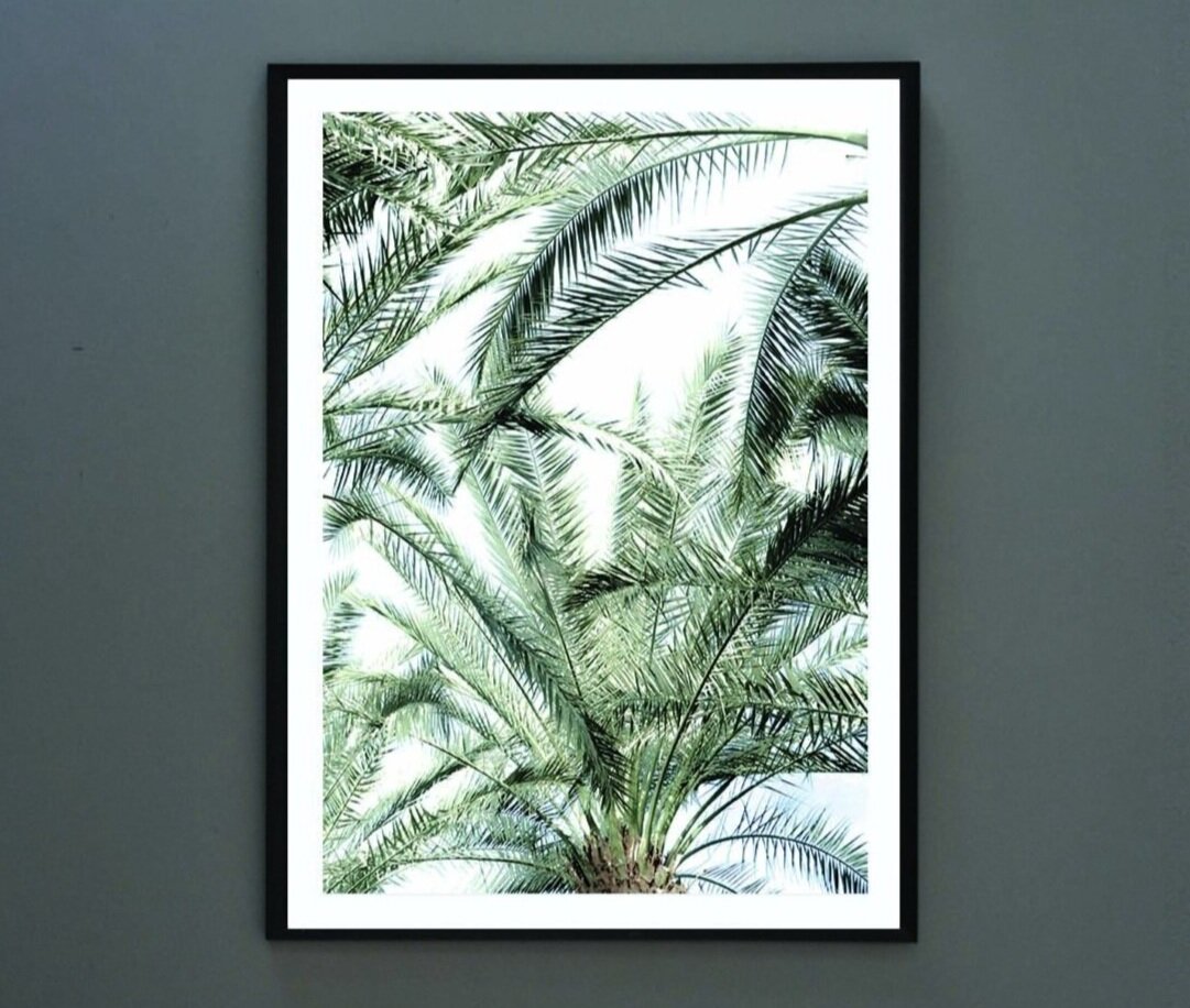 Palm%2BCrown.jpg