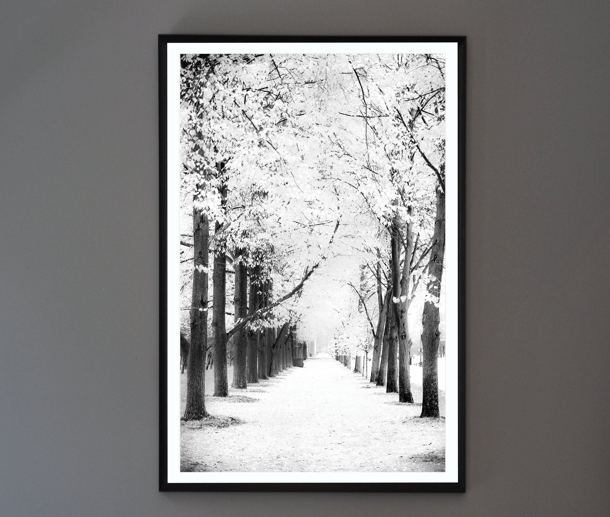 Autumn Boughs_BlkWt_BlkFrame.jpg